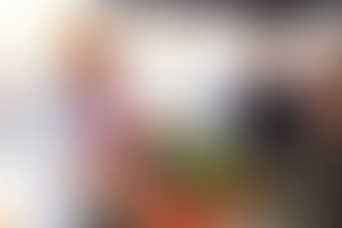 Rotary contra a dengue