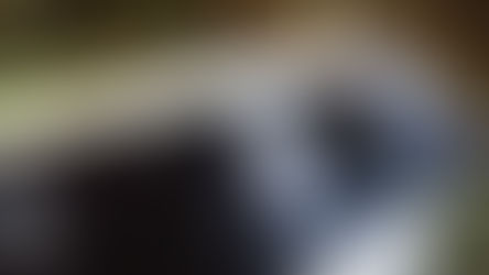 Homem exaltado faz quebradeira na prefeitura e em agência bancária de Unaí