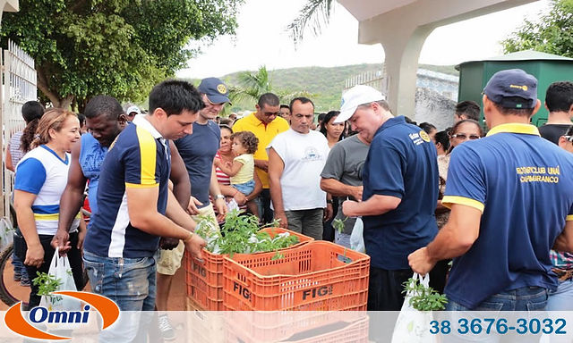 Crotalária055