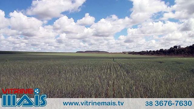 Dia de campo Jornalistas 05-05-2017 (18)