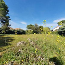 Expertos en publicidad, marketing, venta, negociación y gestión inmobiliaria. Saguar Real Estate, Inmobiliaria en Las Rozas de Madrid. Somos expertos en venta de propiedades en Las Rozas de Madrid, zona Noroeste y zonas premium de Madrid. Casas en venta en Las Rozas de Madrid. ¿Quieres comprar casa en Las Rozas de Madrid? Propiedades en Las Rozas de Madrid. Pisos y chalets en venta en Las Rozas de Madrid. Valoración inmobiliaria. Valorar piso en Las Rozas de Madrid. Valorar chalet.
