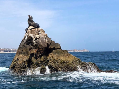 4 Things that Need to Be On Your Solo Bucket List