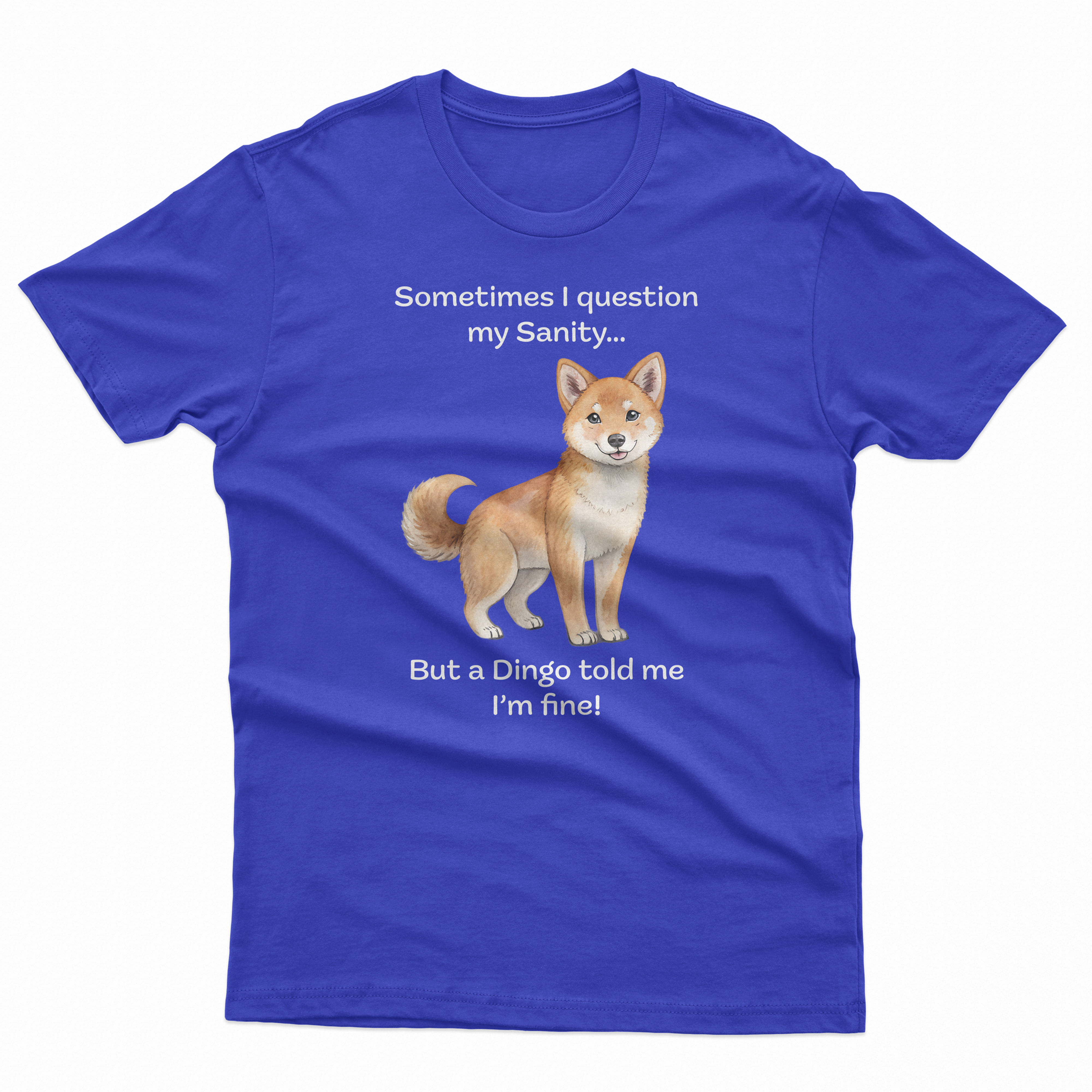 Men's T-Shirt Sanity