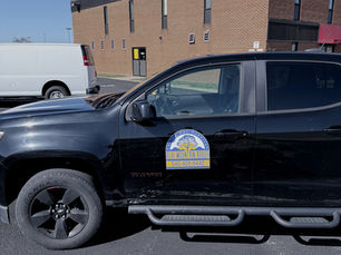 Tree removal crew in Harrisonburg carefully lowering a cut branch with ropes, illustrating the complex, safe procedures involved in professional tree removal.