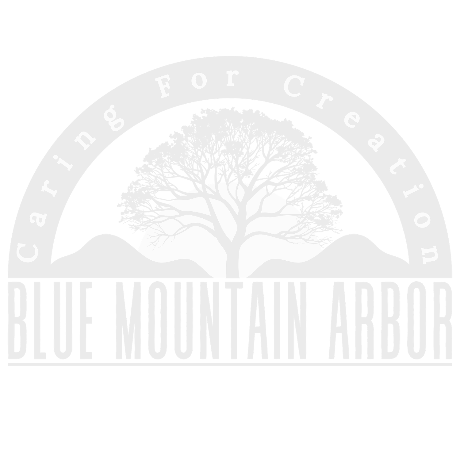 Writer: Blue Mountain Arbor Team