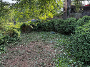 An arborist in Harrisonburg, VA using specialized equipment and safety gear to prune a tree safely and efficiently.