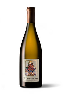 599b64d57488150001d488da_Illumination 20