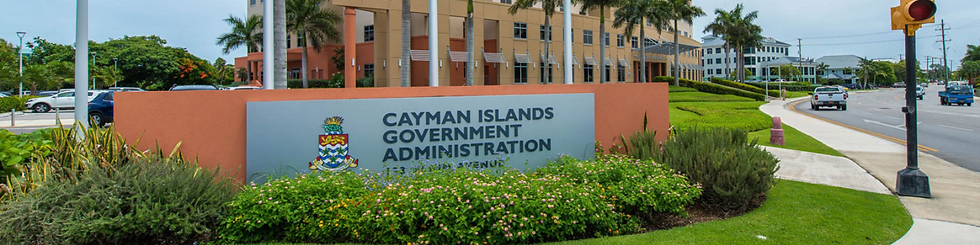 Website background (48).png