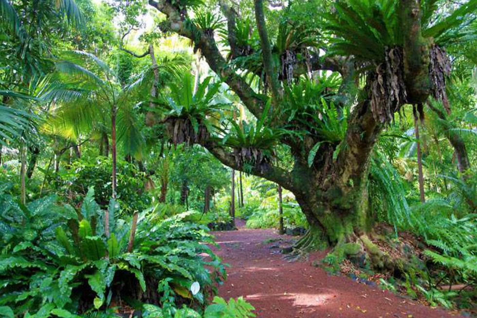 Miniature : Circuits Rando Grande Aventure - 14 nuits 2* Réunion