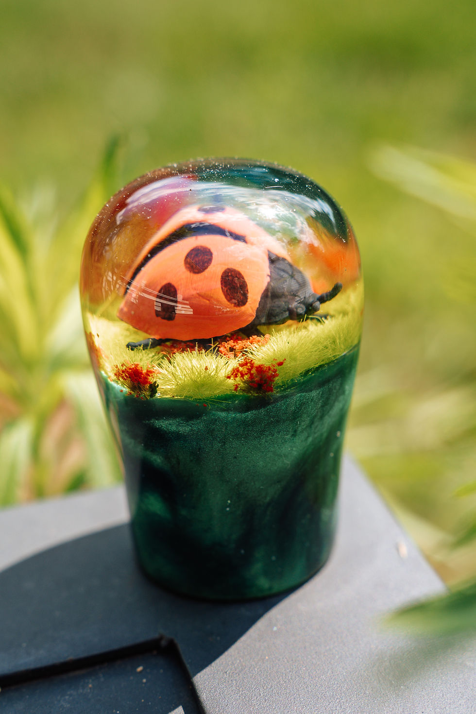 Thumbnail: Lady Bug Shift Knob