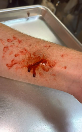 sfx, makeup artist, makeup, film, television, movies, art, artist, jci, jci institute, famous