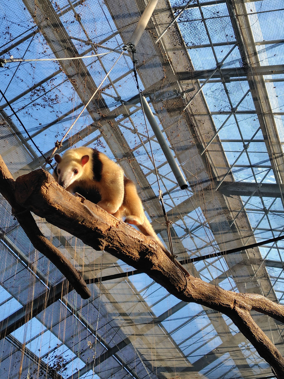 中播磨地区手をつなぐ育成会〜親と子のつどい野外活動
