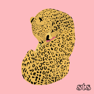 Untitled_Artwork 1.png