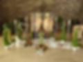 PXL_20221027_121045933.MP.jpg