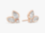 EAR0282-R.jpg