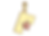 INI0001-R-PM-Y.png