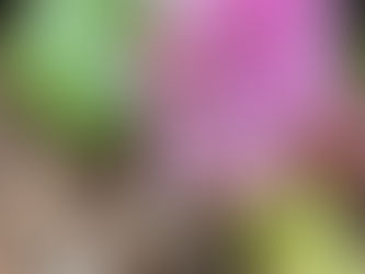 🌺 Nur dieser Moment