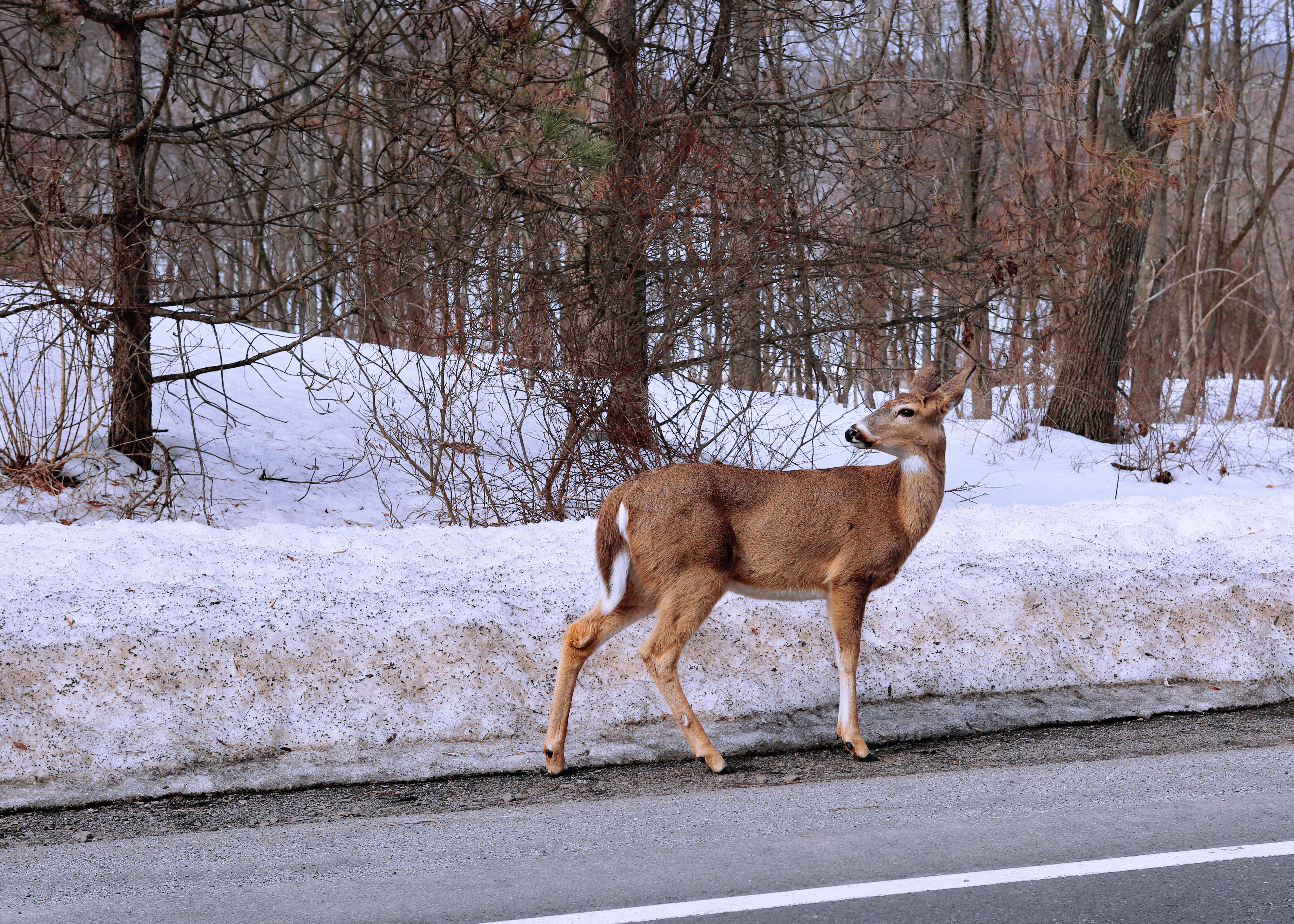 New Jersey