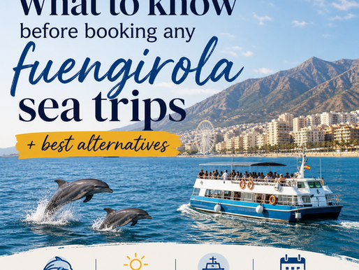 A large boat dolphin spotting in Fuengirola
