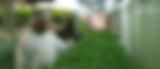 Landing_BG.jpg