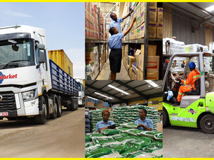 The Economic Potential of Zimbabwe