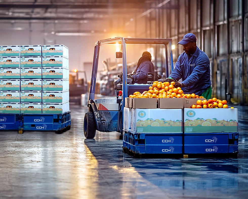 Fruit-Exports.jpg