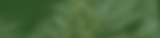 Isando TS 19_Lineage BG.png