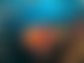 Improving WWF-SASSI Sustainability Rating of Key Non-targeted Species From the Hake Offshore Trawl Sector