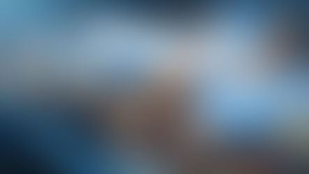 WHEN IT COMES TO POULTRY, WE NEVER WING IT