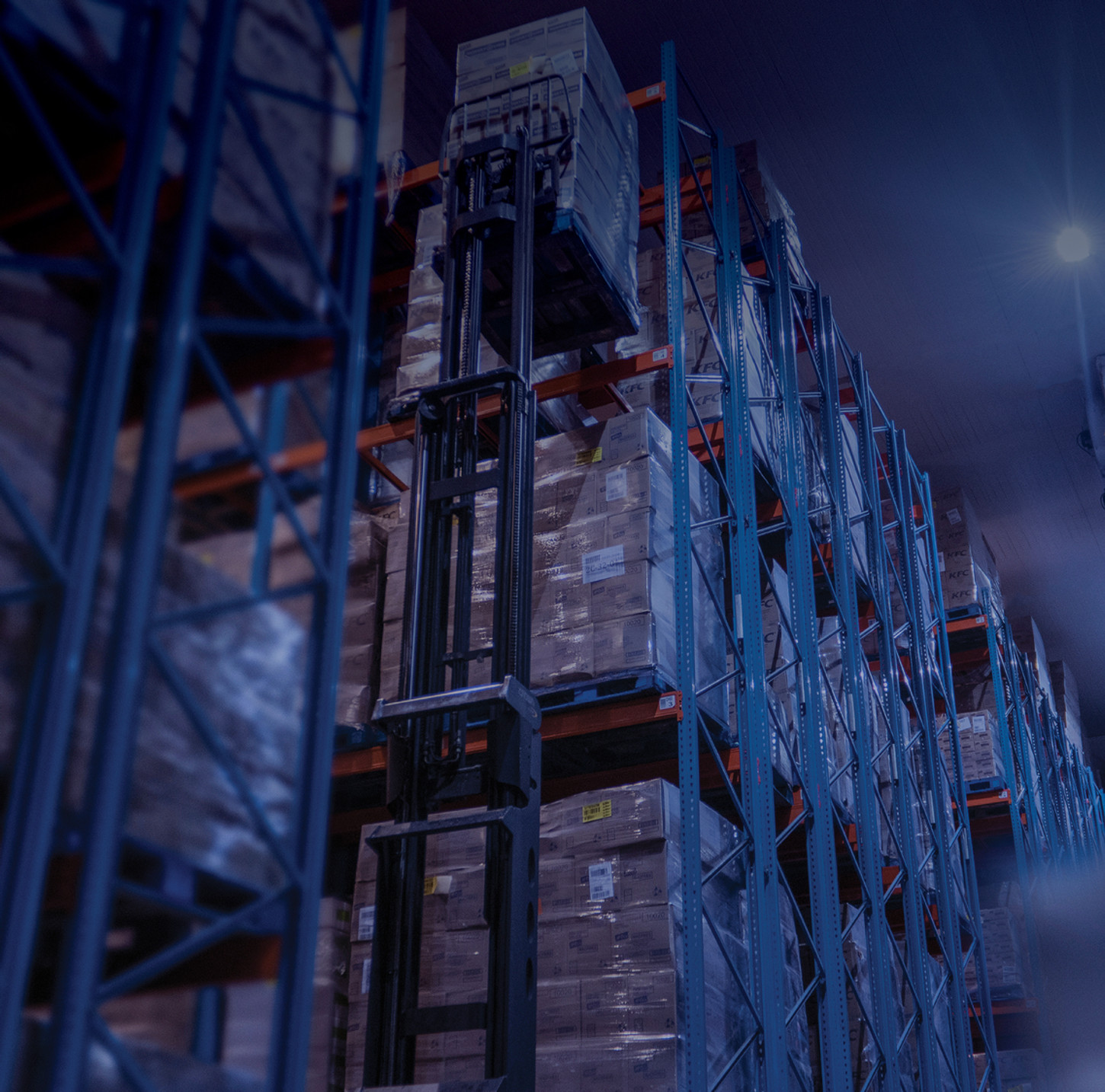 CCS Logistics | Southern Africa's Leading Cold Store Operator