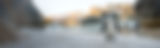 Penguin-Img_Optimised.jpg