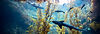 Header-Bought-(optimised).jpg