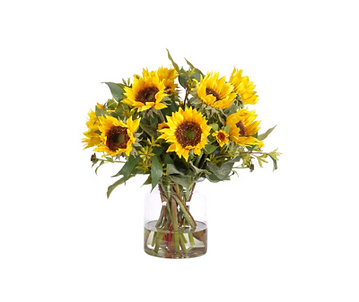 Sunflower, Faux Watergarden