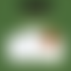 Gi Advanced Info Slide 1