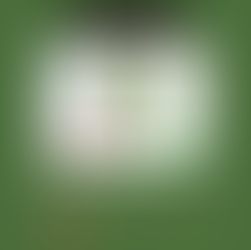 Gi Advanced Info Slide 5