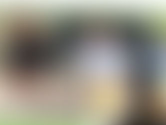 Онлайн навчання для дітей💻