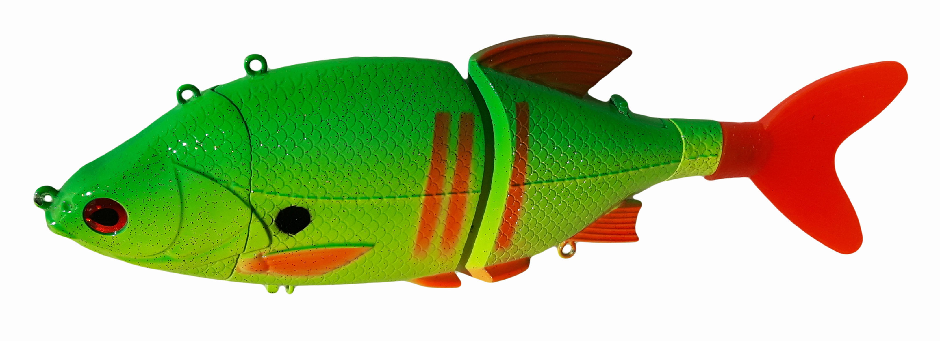 Roach Transformer Fluo e