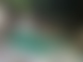 2025.8.17柿其溪谷沢登り