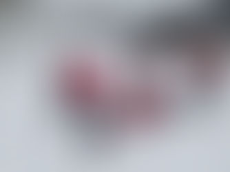 日本山岳レスキュー協会