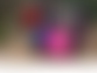 おとな女子登山部