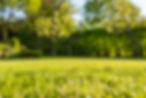 Dragons-Landscaping-background.jpg