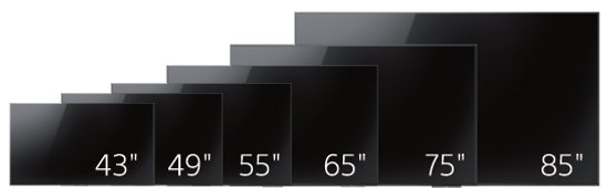 bravia.png