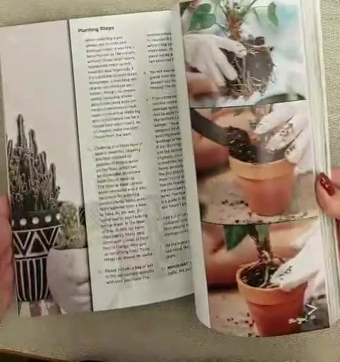 Thumbnail: For You Magazine