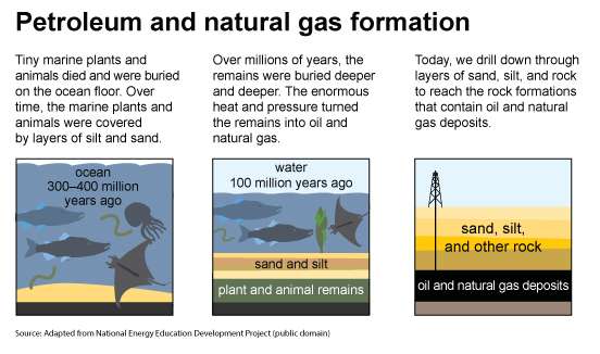 How oil was formed.gif