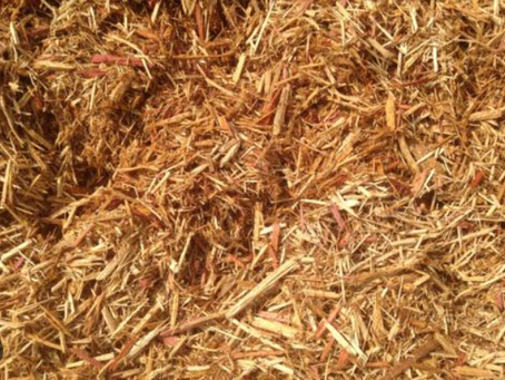Forestry Mulching: The Smart Solution for Travis County Land Management