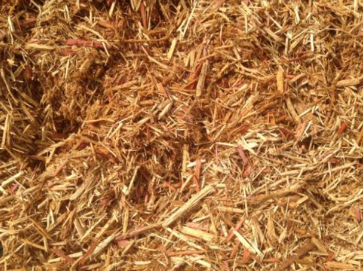 Enhance Your Property's Beauty and Protect the Environment with Our