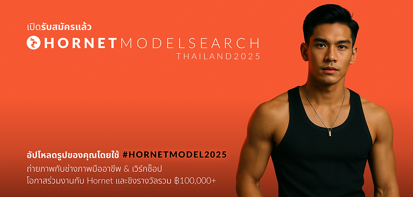 Poster-Hornet-Model-Search.png