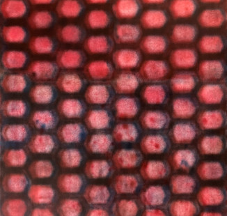 image1.jpeg