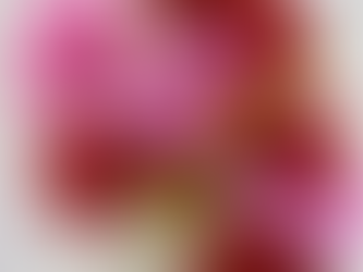 ご利用者様作品:カーネーション