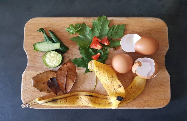 Ce sont des déchets verts et compostables ( coquilles d'œufs, peau de banane et de courgettes et feuilles mortes ) pour inciter à composter ses déchets et à un mode de vie zéro déchet